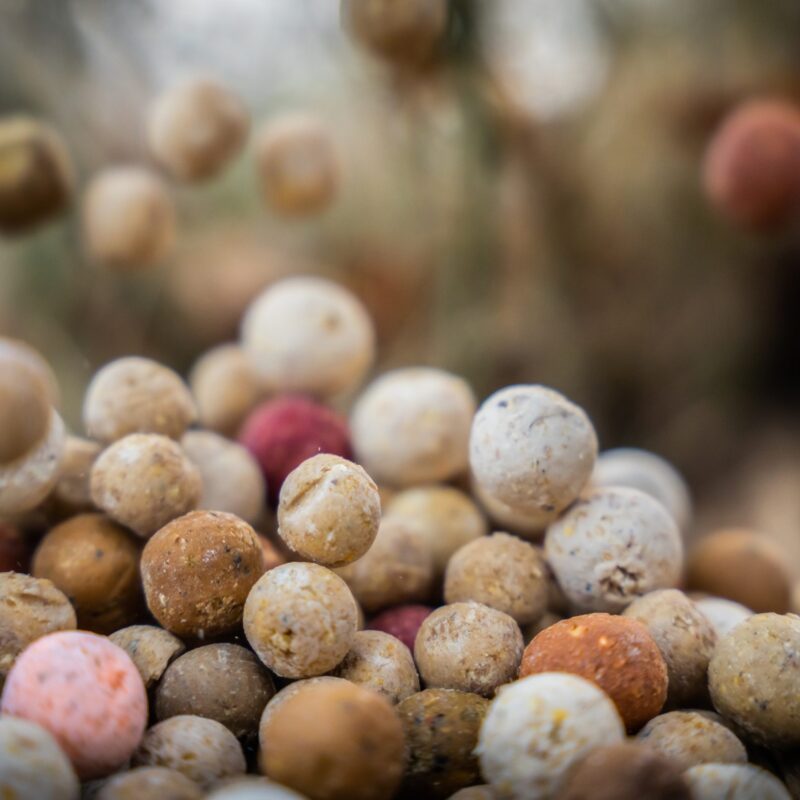 Voerboilies voor het karpervissen en voeren