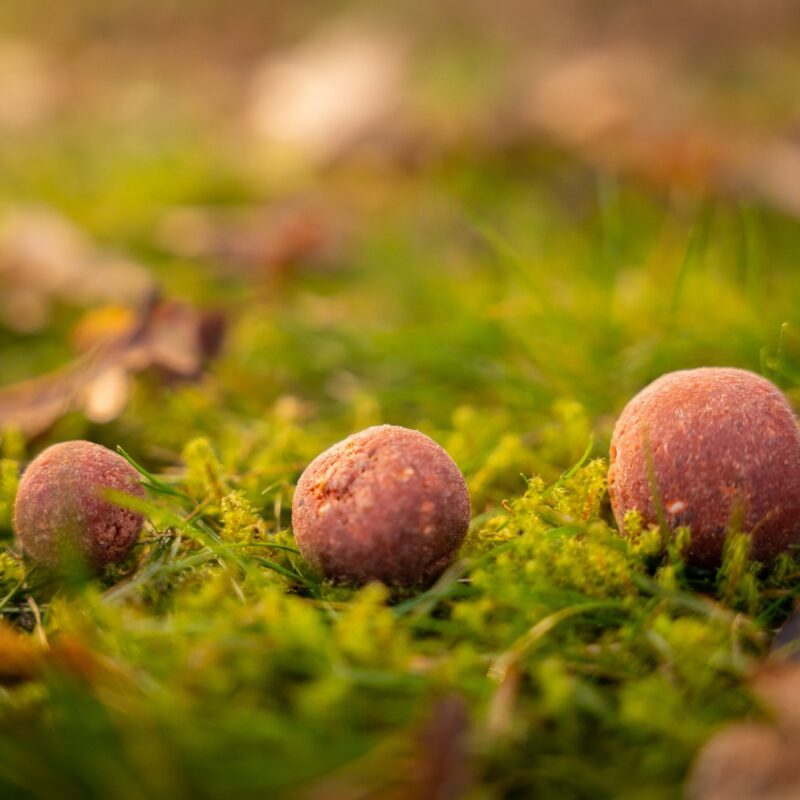 Robin Red boilies Haiths