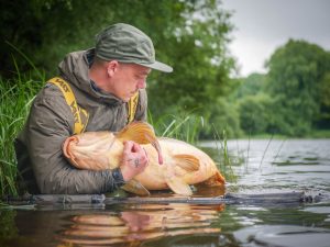 Veel voeren in Frankrijk met boilies